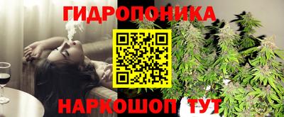 гашиш Шебекино