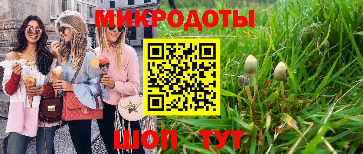 Галлюциногенные грибы Cubensis Ликино-Дулёво