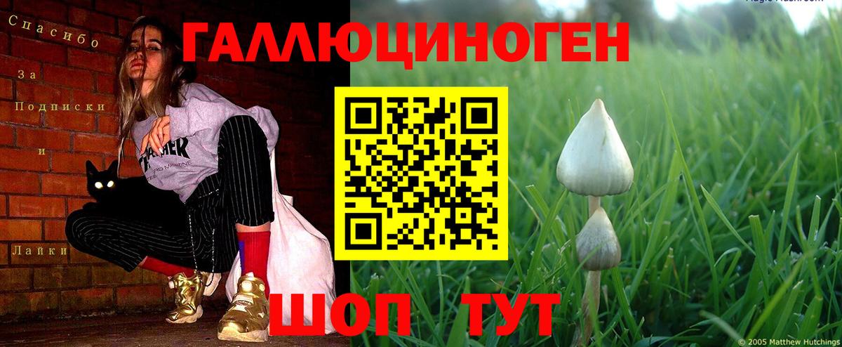 Ликино-Дулёво  Псилоцибиновые грибы MAGIC MUSHROOMS  Вход с VPN 